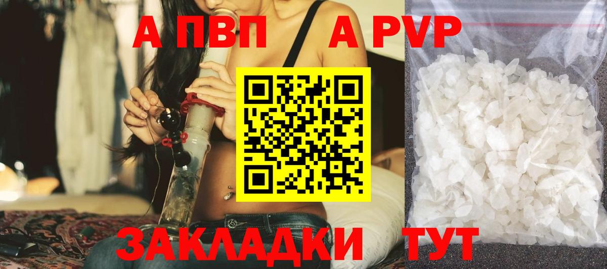 Alfa_PVP СК КРИС Киров