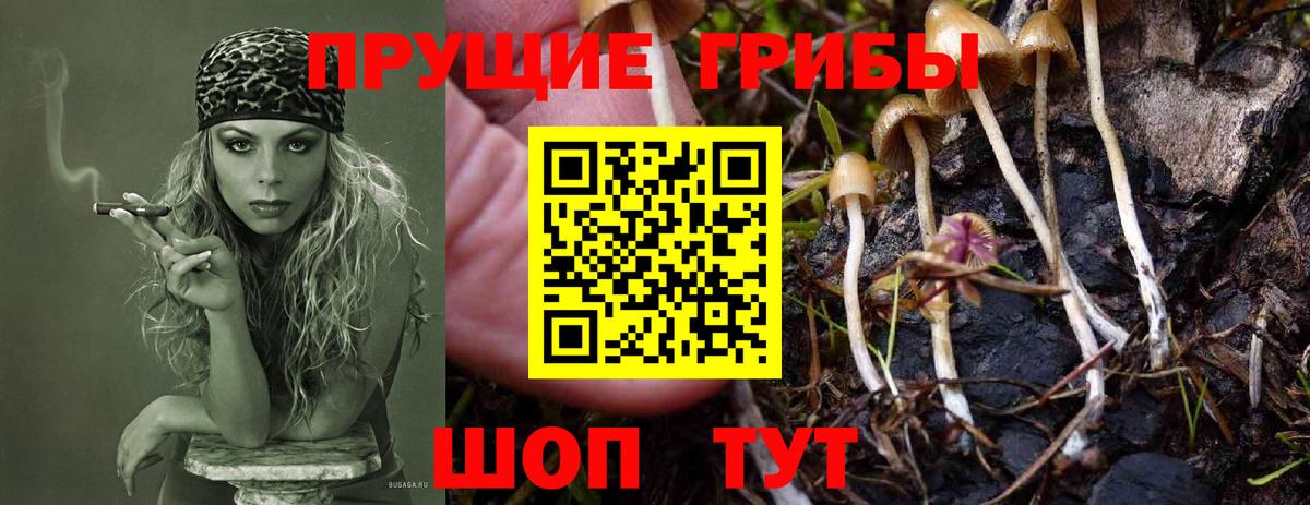 Галлюциногенные грибы GOLDEN TEACHER Киров